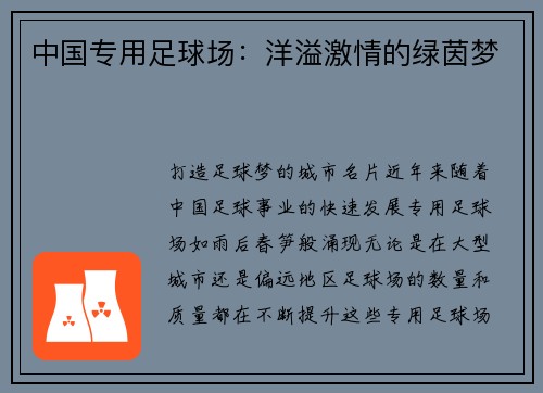 中国专用足球场：洋溢激情的绿茵梦