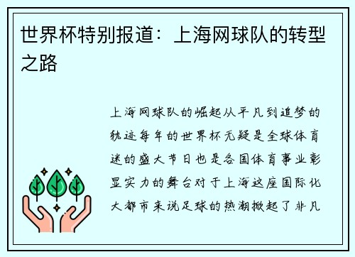 世界杯特别报道：上海网球队的转型之路