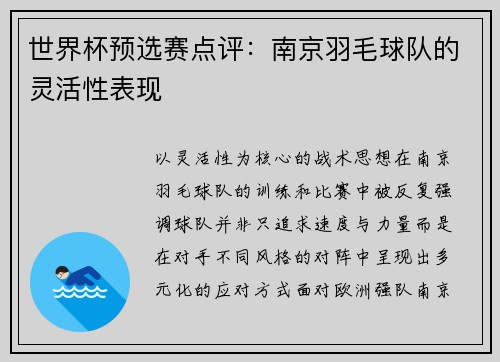 世界杯预选赛点评：南京羽毛球队的灵活性表现